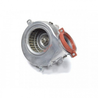 Вентилятор Ariston Niagara Delta 24-30 FF